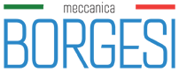 Logo Borgesi